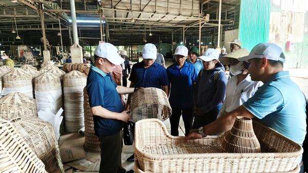 Chủ động kết nối với doanh nghiệp để phát triển vùng nguyên liệu cây mây nước của xã Đặng Thùy Trâm